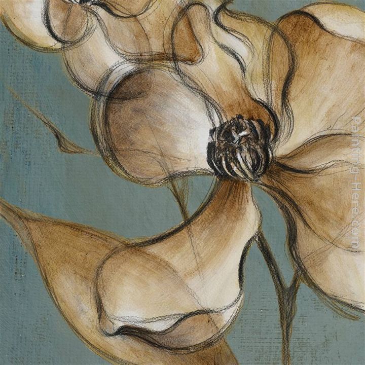 Translucent Magnolias